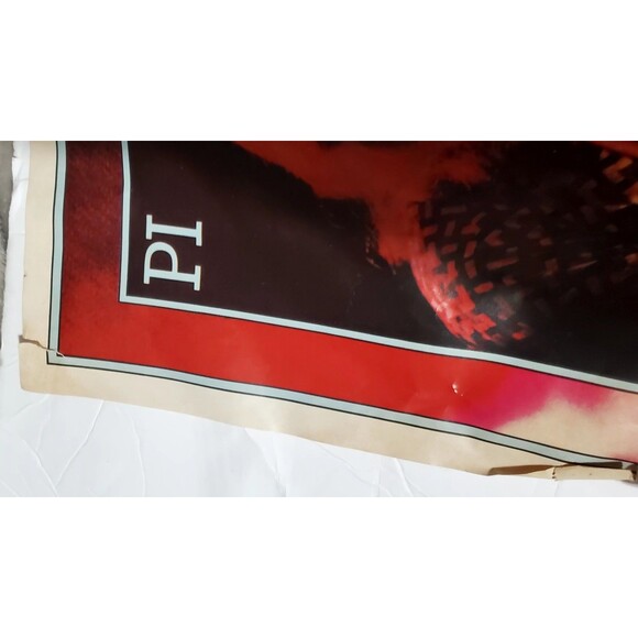 Pink Floyd Dark Side Moon Vinyl Insert Band Poster 20"x30" Psychedelic - Picture 8 of 16